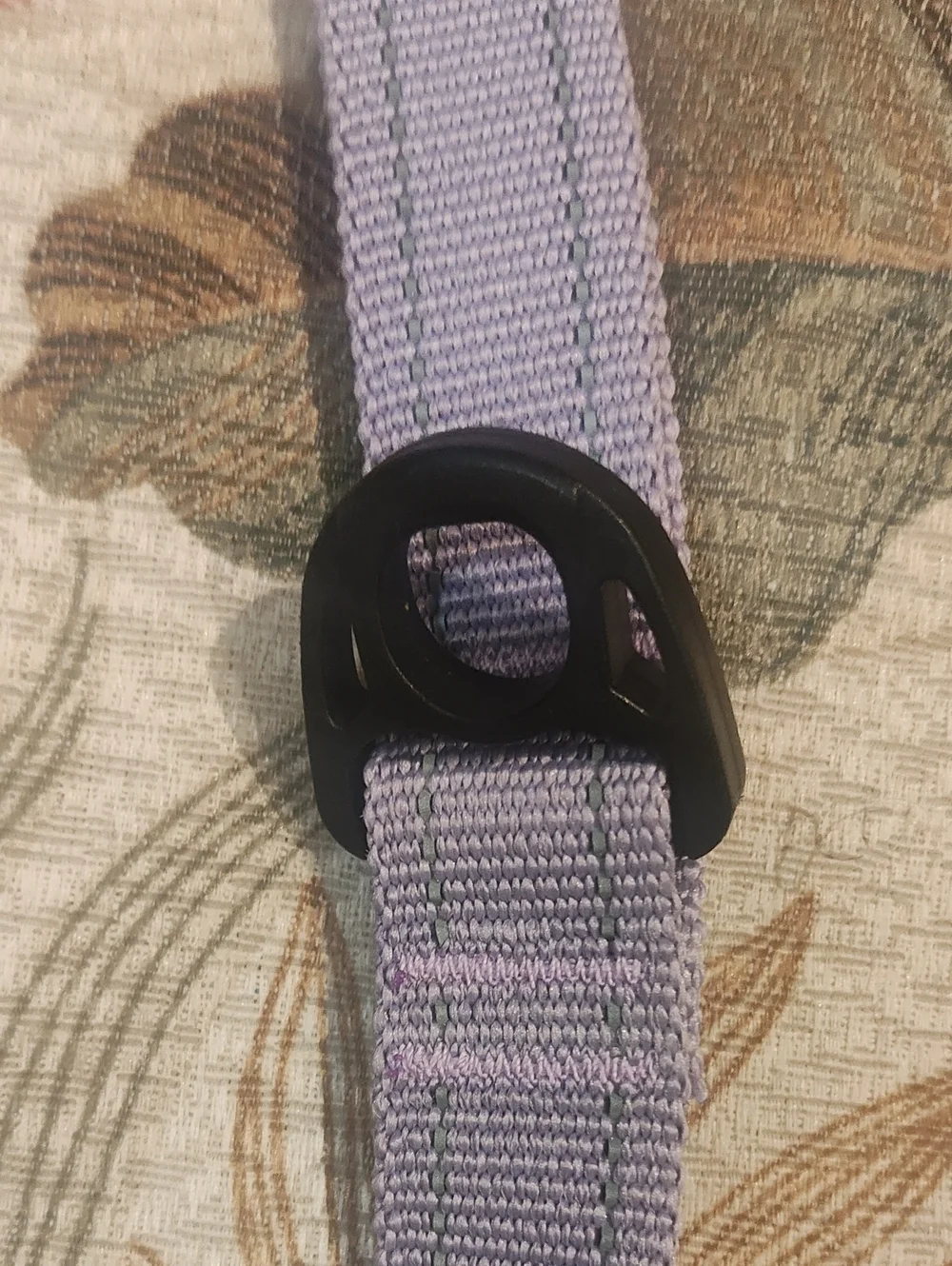 PETS: DOG LEASH - STRETCHY
